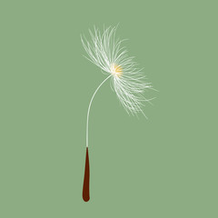 Obraz premium Dandelion seed