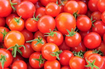 Fresh tomatoes