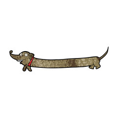 Fototapeta premium cartoon dachshund