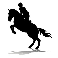 horse rider, vector illustration