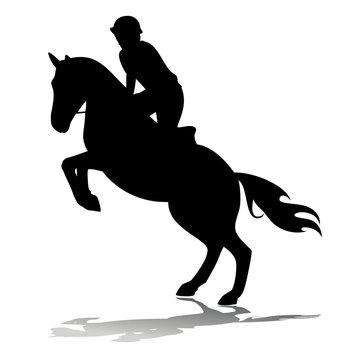 horse rider, vector illustration