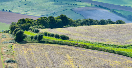 Views across the South Downs © simonprbenson