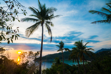Naklejka na ściany i meble Tropical coconut palms with beach and sea background.