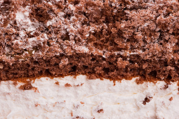 Piece of cake close-up