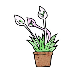 cartoon orchid plant