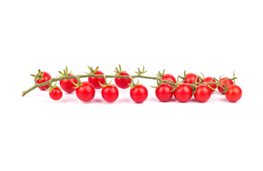 Sprig of cherry tomatoes