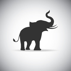 silhouette elephants