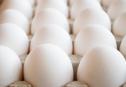 background  folded white closeup large eggs