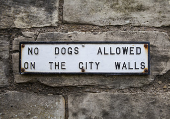 No Dogs Allowed on the City Walls