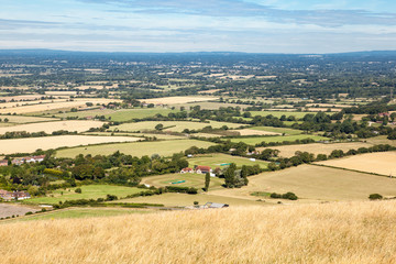 View of the South Downs: fields and the houses