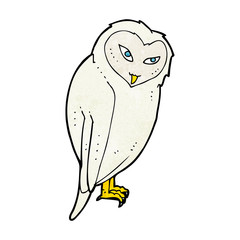 cartoon owl