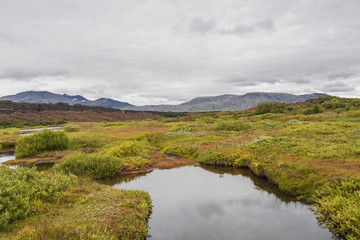 Icelandic natural landscape, summer