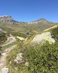 Obraz premium wanderer in den savoyer alpen