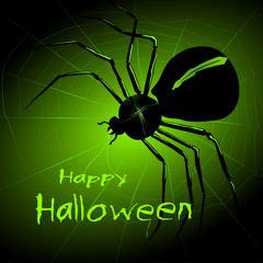Happy Halloween card with a Terrible black Spider on green web