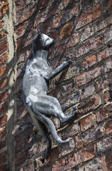 Fototapeta na wymiar One of the many Cat statues in York, England.