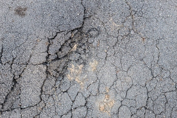 Asphalt texture with cracks