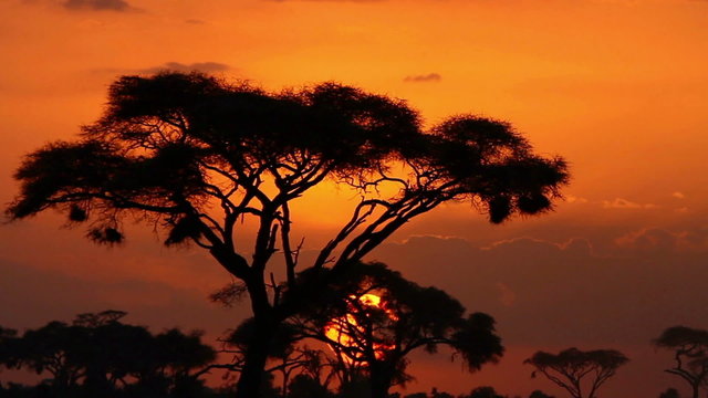 Timelapse Sunset in Amboseli Park, Kenya
