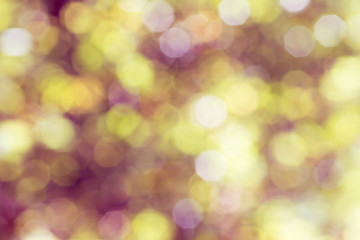 Obraz premium Abstract nature soft focus background with beautiful bokeh. Blurred green background
