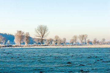 Obraz premium Sunrise at Ruhrwiesen in Schwerte, Germany
