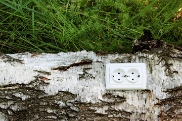 Ecological concept, symbolizing renewable energy, bio energy