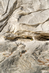 Sandstone on the mountain background.