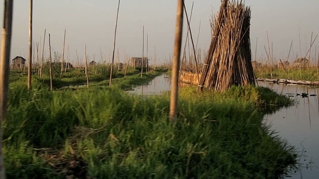 Floating gardens in Inle Lake, Myanmar

