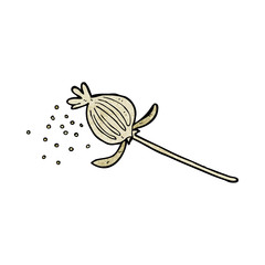 cartoon dried poppy flower