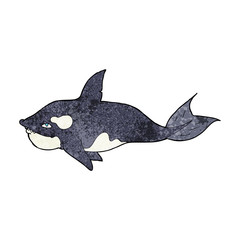 Fototapeta premium cartoon killer whale