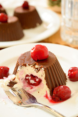 Homemade custard ice cream, covered with chocolate and cherries