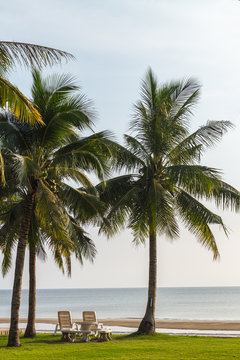 Tropical beach view with  chaise longues on grass field