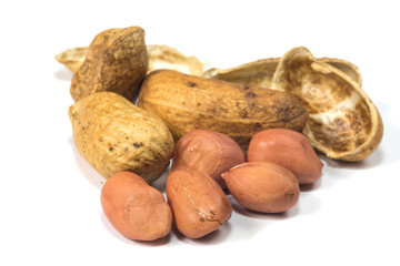 peanut isolated on white background
