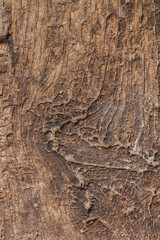 wooden line texture