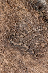 wooden line texture