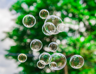 Soap bubble flying Blur bokeh background