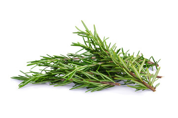 rosemary isolated on white background