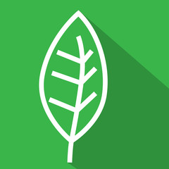 White line leaf flat icon on green background.