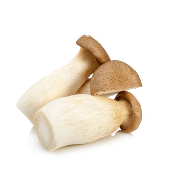 King Oyster mushroom (Eringi) isolated on white backgroud