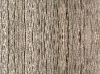 Weathered wood background