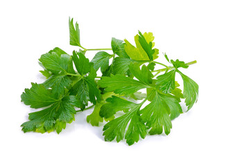 parsley isolated on a white background