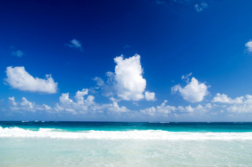 tropical sea