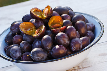 Heap of plums in metal bowl on wooden table in garden on sunny day