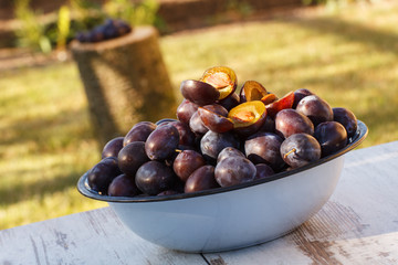 Heap of plums in metal bowl on wooden table in garden on sunny day