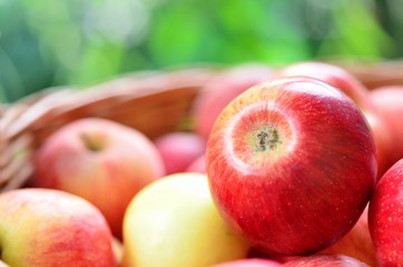 Apples