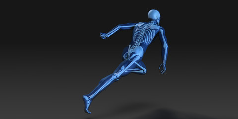 3D Concept of Human Male Body and Skeleton