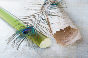 Rolled papyrus paper, quill pen and a section of the plant laid on a papyrus layer