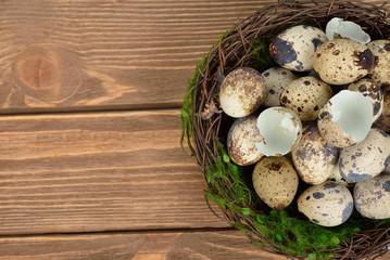 Quail eggs