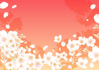 桜