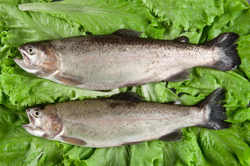 fish trout on lettuce leaves