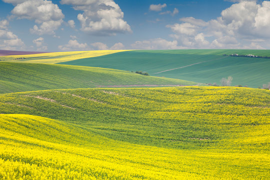 Landscape of colorful hills, springtime beautiful day, Czech © Taiga