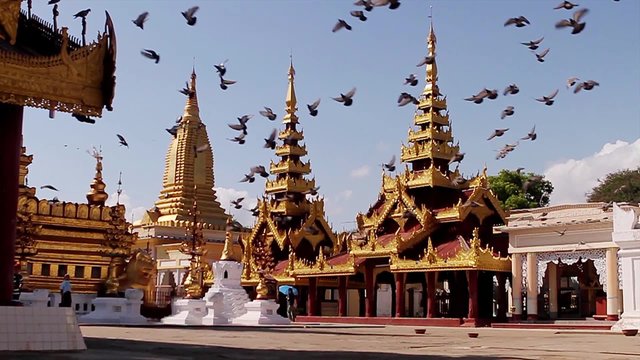 Flying pigeons over the pagodas.